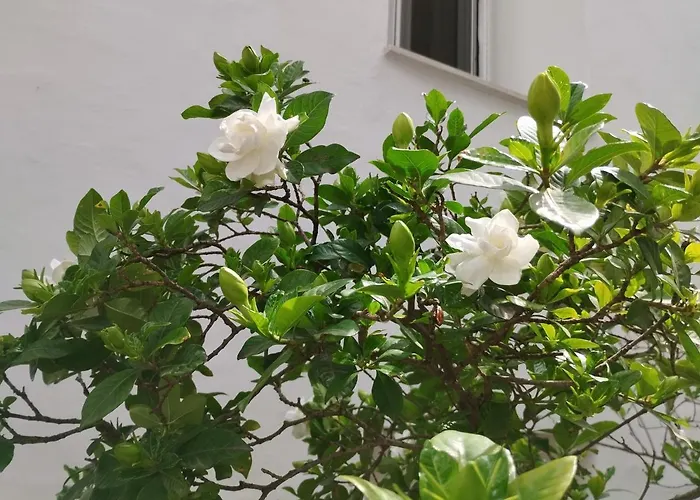 Η Ελπίδα Και Η Γιάννα Ξεκίνησαν Ένα Χώρο Cute