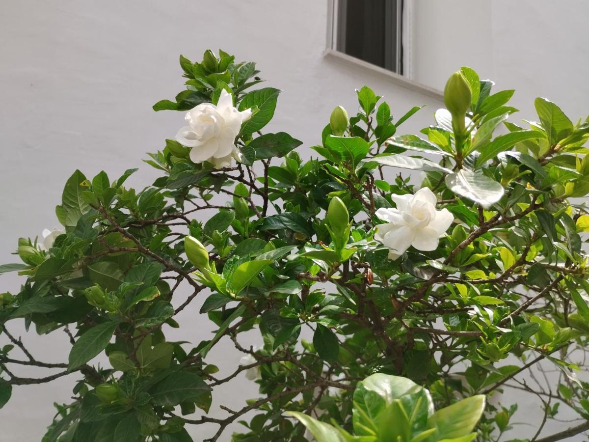 η ελπίδα και η γιάννα ξεκίνησαν ένα χώρο Cute