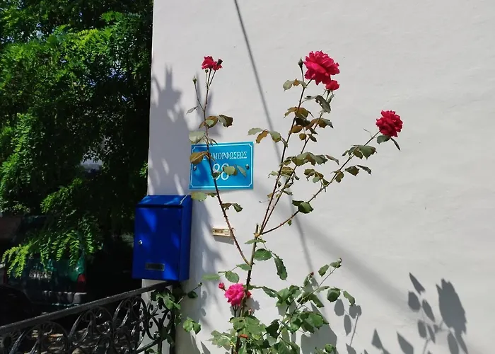 Η Ελπίδα Και Η Γιάννα Ξεκίνησαν Ένα Χώρο Cute