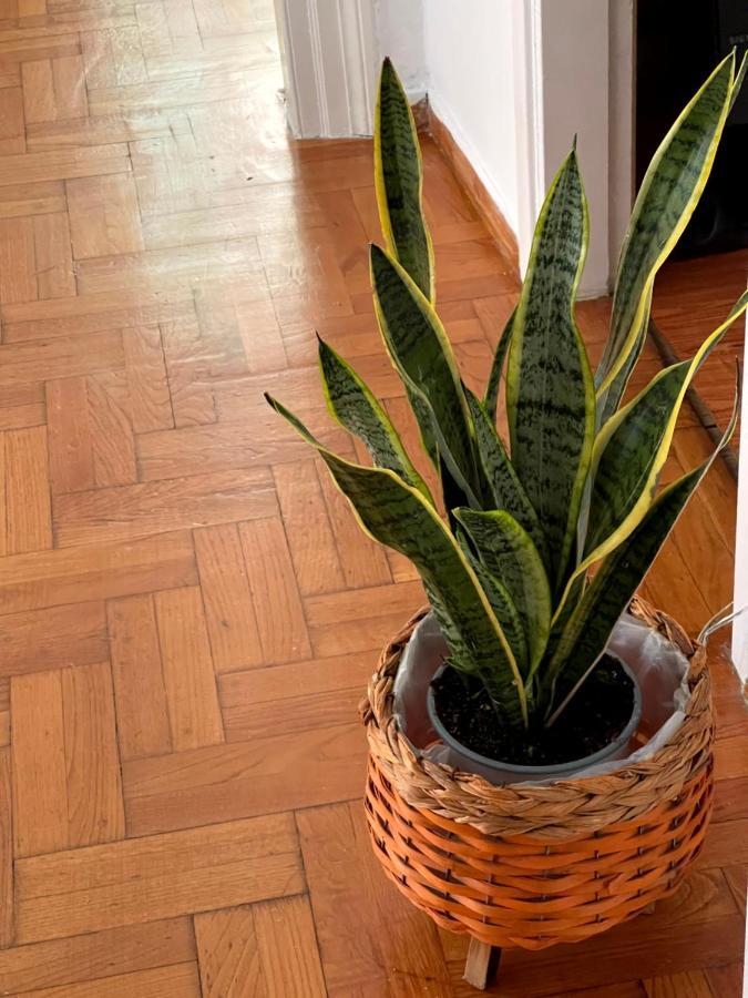 η ελπίδα και η γιάννα ξεκίνησαν ένα χώρο Cute Apartment Volos